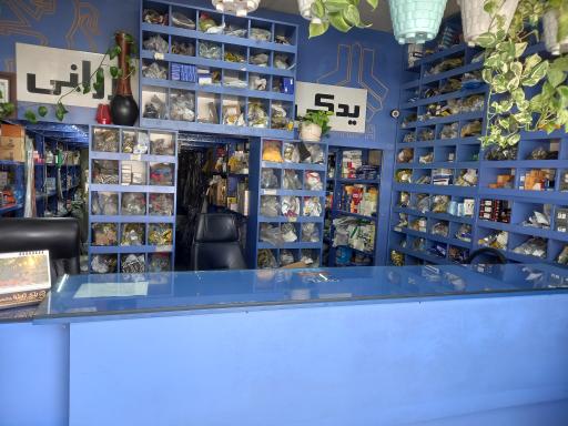 عکس کوروش یدک 