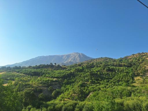 عکس دهنو کوخدان