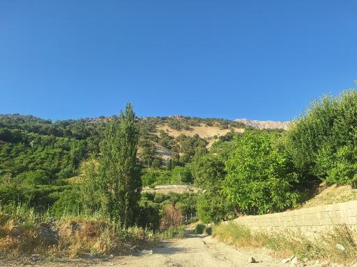 عکس دهنو کوخدان
