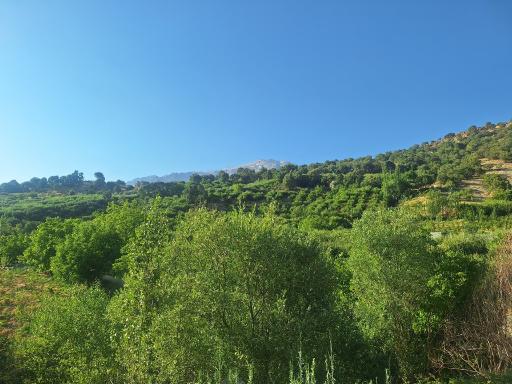 عکس دهنو کوخدان