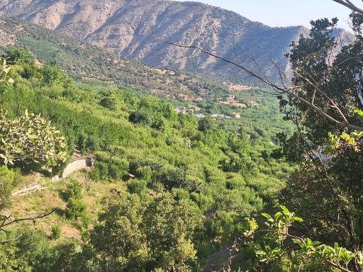 عکس دهنو کوخدان
