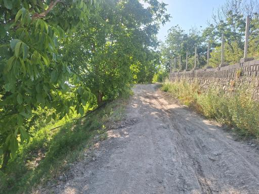 عکس دهنو کوخدان