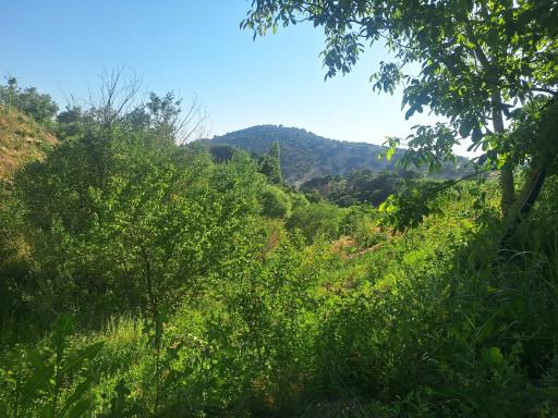 عکس دهنو کوخدان