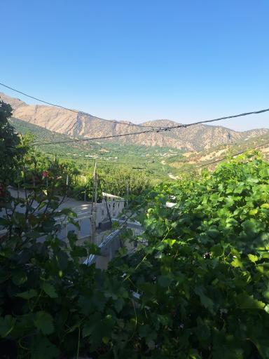 عکس دهنو کوخدان