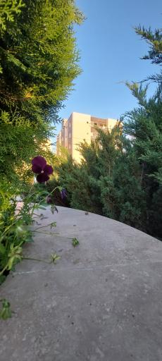 عکس بوستان نخبگان (نسیم)