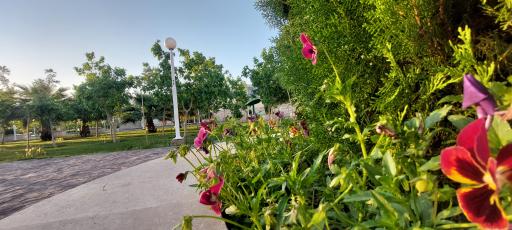 عکس بوستان نخبگان (نسیم)