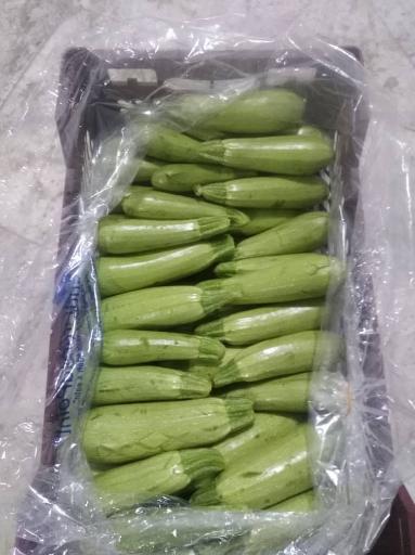 عکس بازگانی کیان میوه-سورتینگ