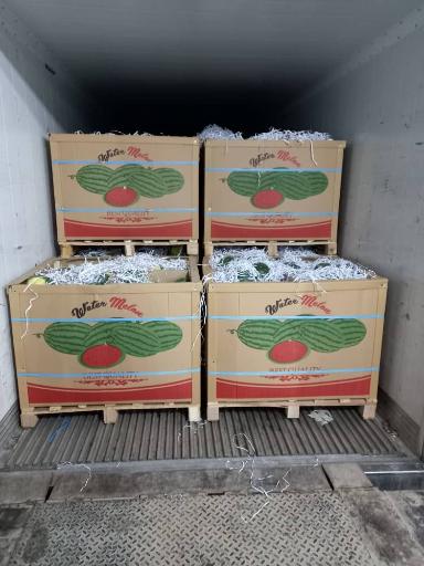 عکس بازگانی کیان میوه-سورتینگ