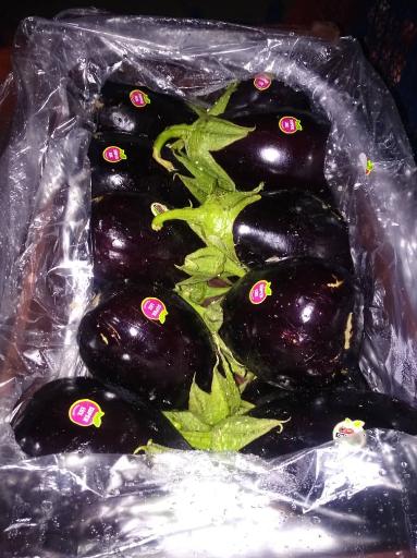 عکس بازگانی کیان میوه-سورتینگ