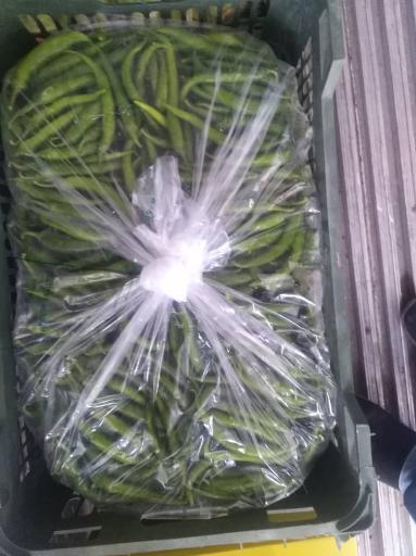 عکس بازگانی کیان میوه-سورتینگ