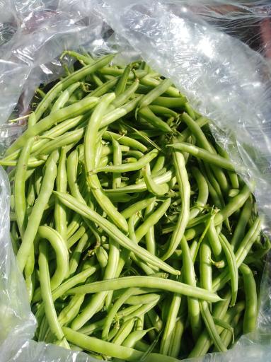 عکس بازگانی کیان میوه-سورتینگ