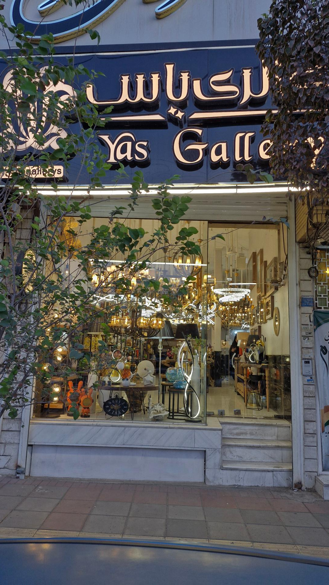 عکس گالری یاس