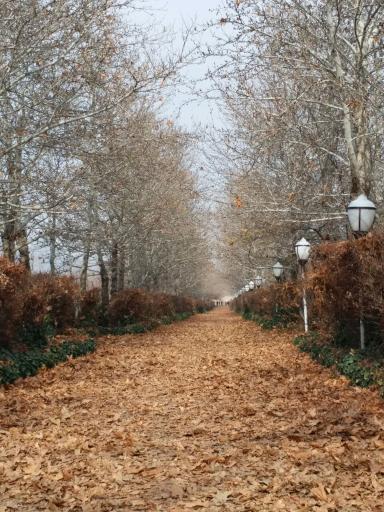 عکس اردوگاه فرهنگی تربیتی امام رضا