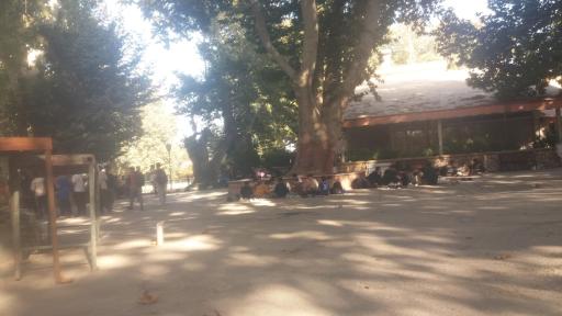 عکس اردوگاه فرهنگی تربیتی امام رضا