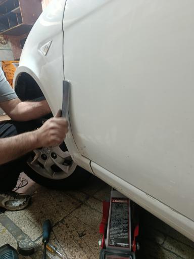 عکس اتوصافکاری   PDR برغمدی 