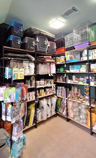 پت شاپ شادِن