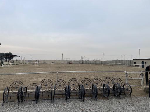 عکس باشگاه سوارکاری پارکور