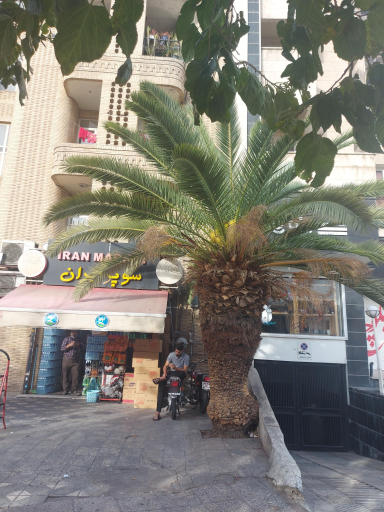 عکس سوپرمارکت ایران