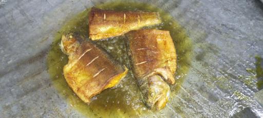 عکس ماهی کبابی پاک