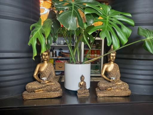 عکس کافه کوآلا