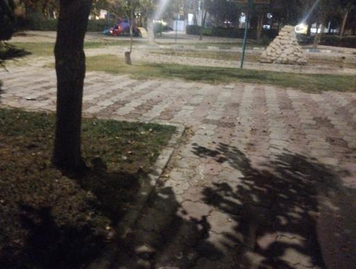 عکس پارک بهاران