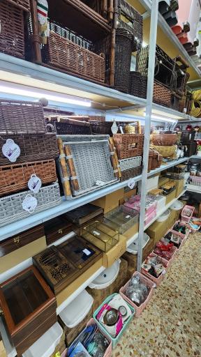 عکس پلاسکو ریما 