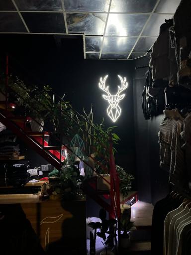 عکس پوشاک آراد