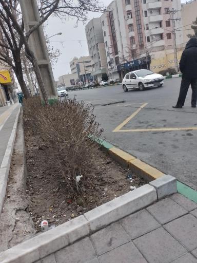 عکس  شهید صیاد شیرازی 9