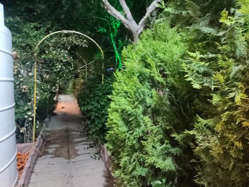 عکس کمپ ترک اعتیاد بهشت فدک البرز