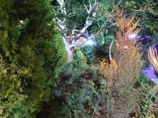 عکس کمپ ترک اعتیاد بهشت فدک البرز