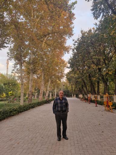 عکس پارک شهر