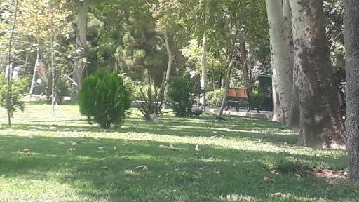 عکس پارک شهر