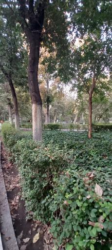 عکس پارک شهر