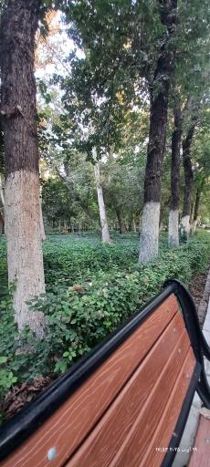 عکس پارک شهر