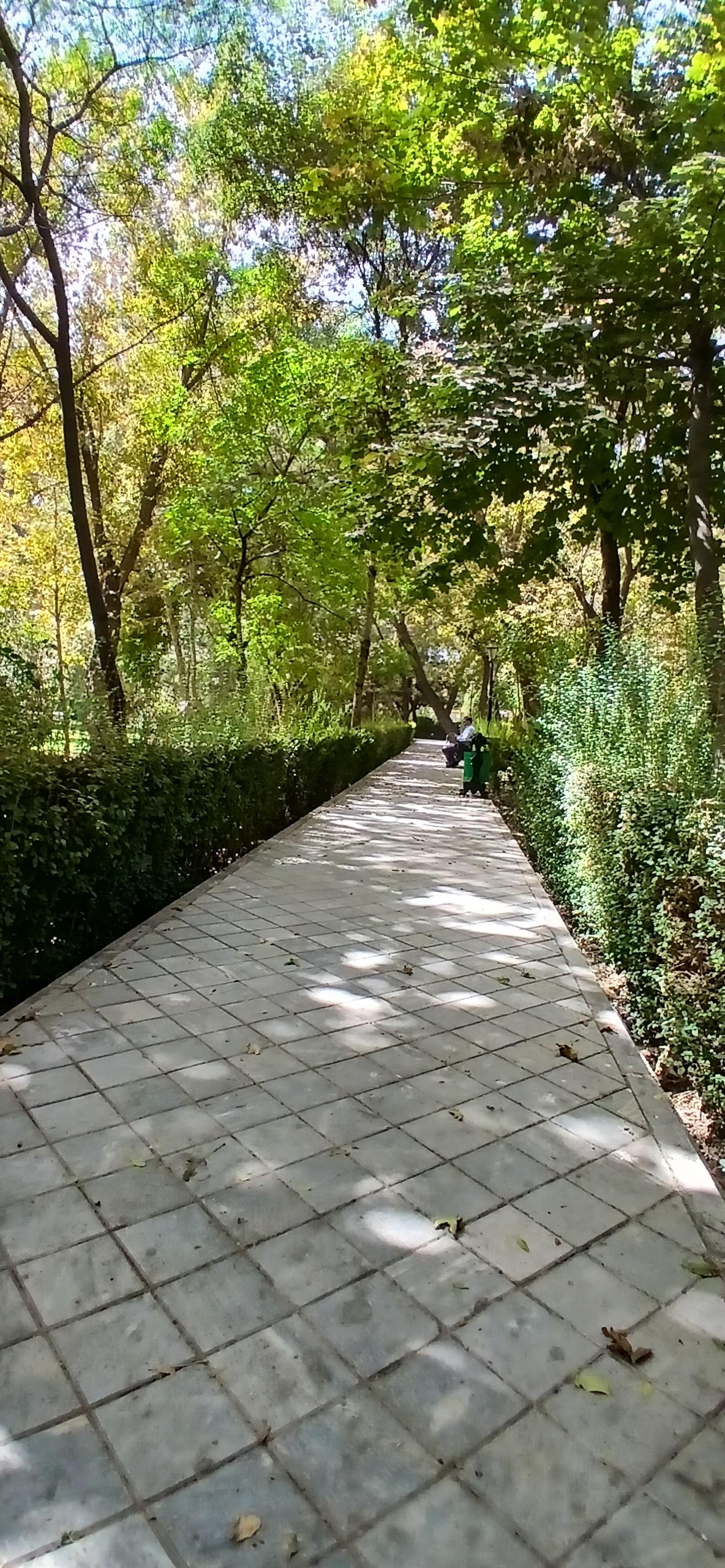 عکس پارک شهر