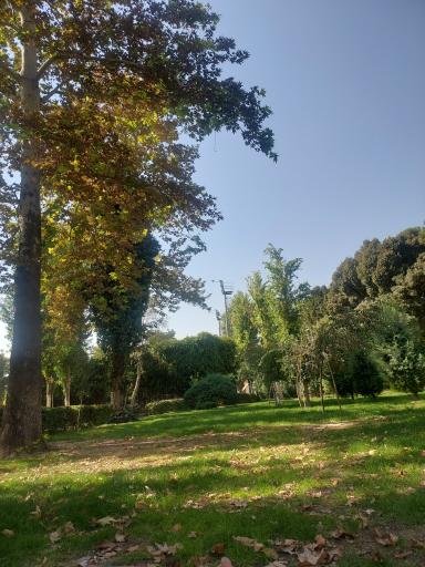 عکس پارک شهر