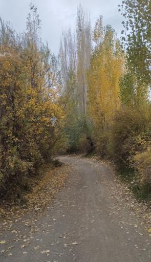 عکس خراسان رضوی