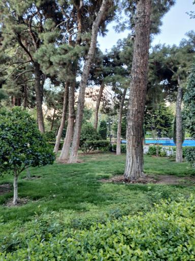 عکس پارک شهر