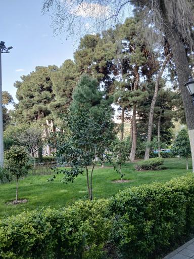 عکس پارک شهر