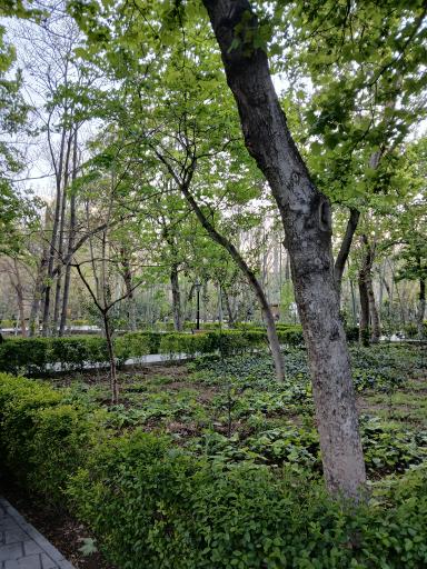 عکس پارک شهر