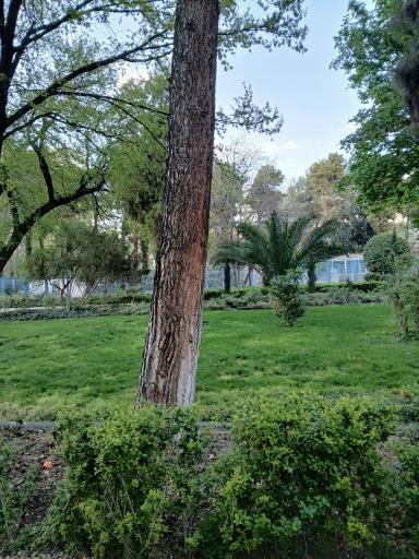 عکس پارک شهر