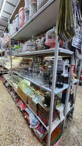 عکس پلاسکو ریما 