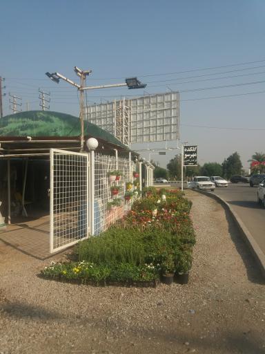 عکس گلکده مهرسو