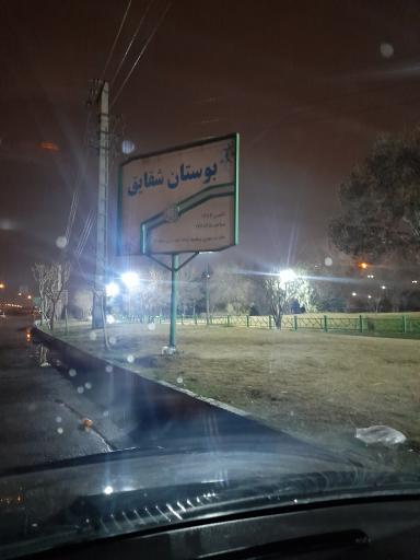 عکس بوستان شقایق