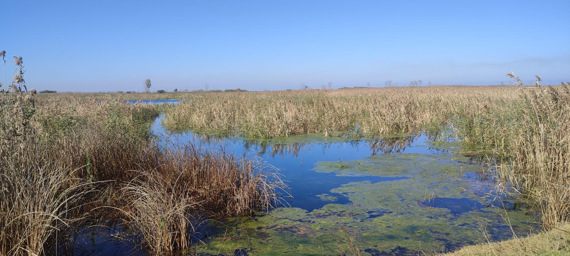 عکس آب بندان موزیرج