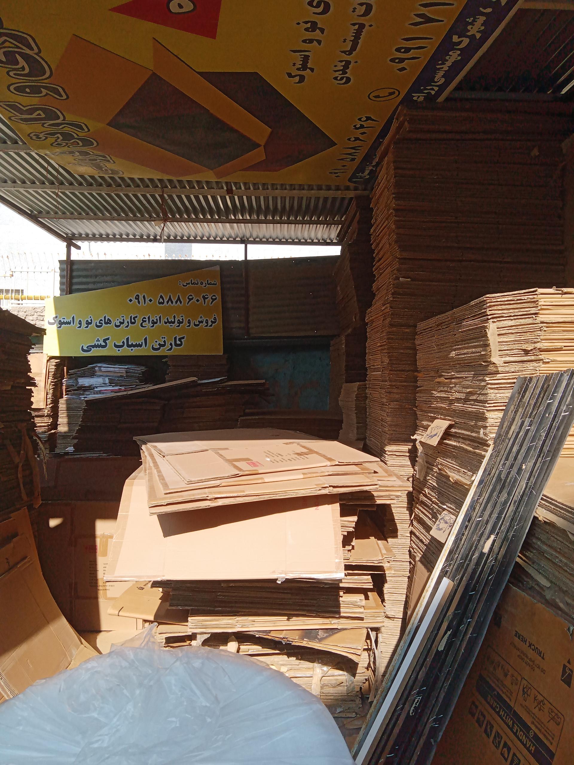 عکس کارتن پرویزی