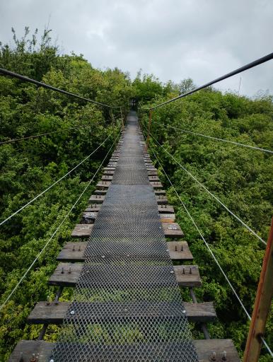 عکس تاب هیجان و زیپ لاین هتو