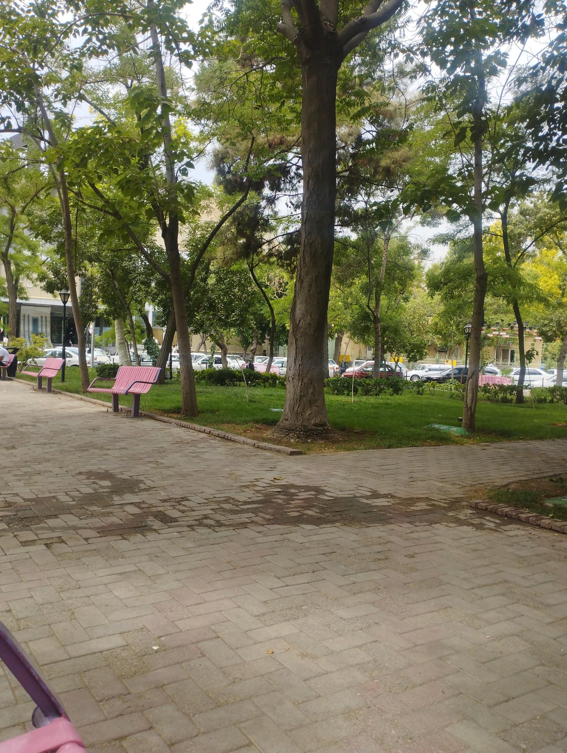 عکس میدان امام رضا (ع)