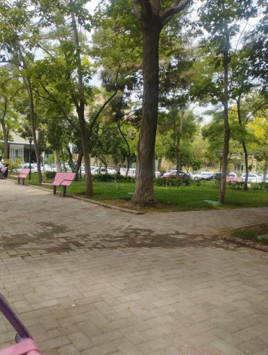 عکس میدان امام رضا (ع)