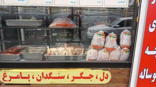 عکس پروتئین حسام